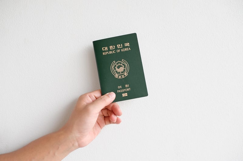 Travel Accessories